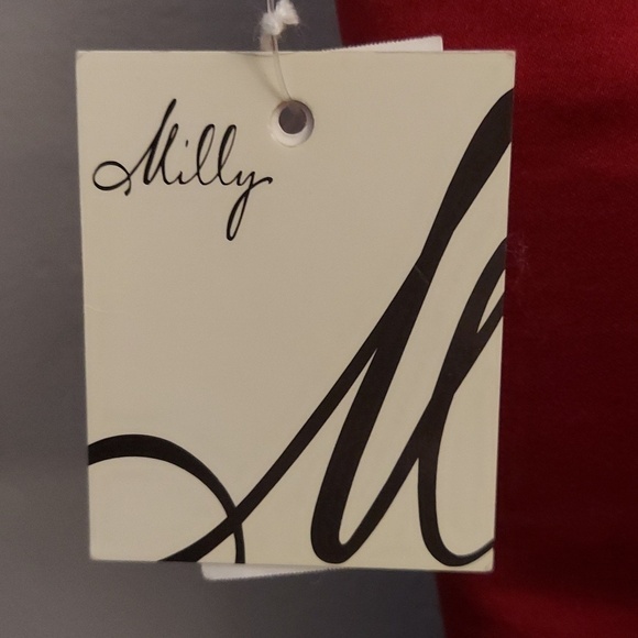 NWT MILLY 2 Ruby Red Sweetheart Silk Dress - Picture 15 of 16